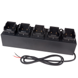 5-Bank DC 12-36V Charger - Rechargeable INTRANT™ Angle Lights