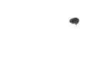 adapter.webp