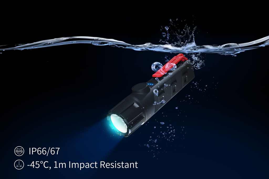 ExMP31N&R-4-FV-20231127 (1).webp