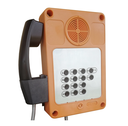 TLA412E1 Telefono impermeabile con tastiera IP66