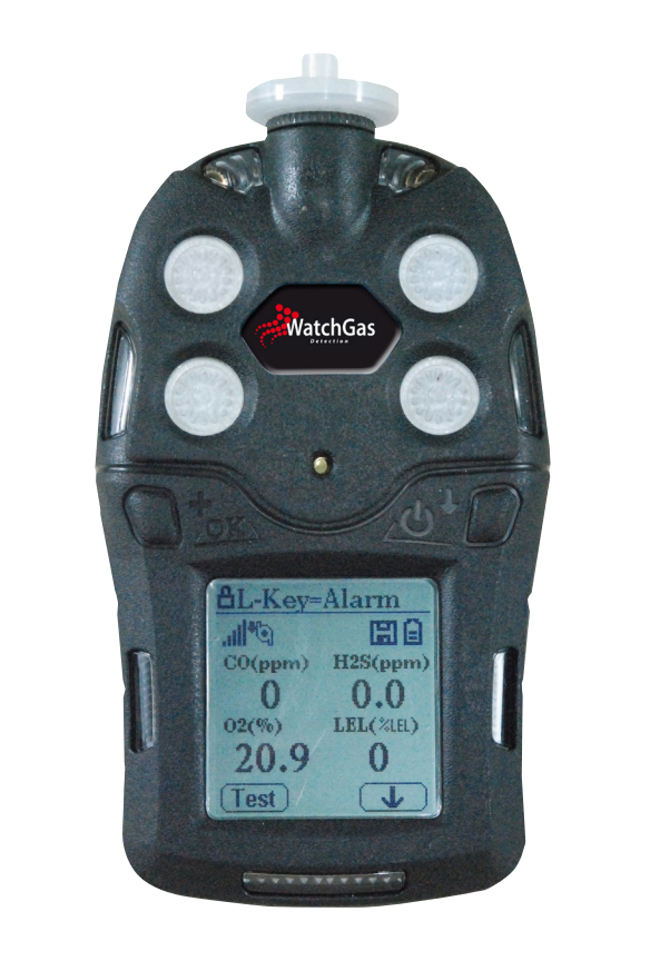 [WG-MPA1-41A60T-00000] Gasdetector met Ex/Ox-pomp