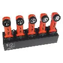 Caricabatterie CA a 5 serbatoi per la serie 5568