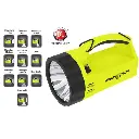 XPR-5580G Intrinsiek veilige lamp met dubbele verlichting / 300 lumen