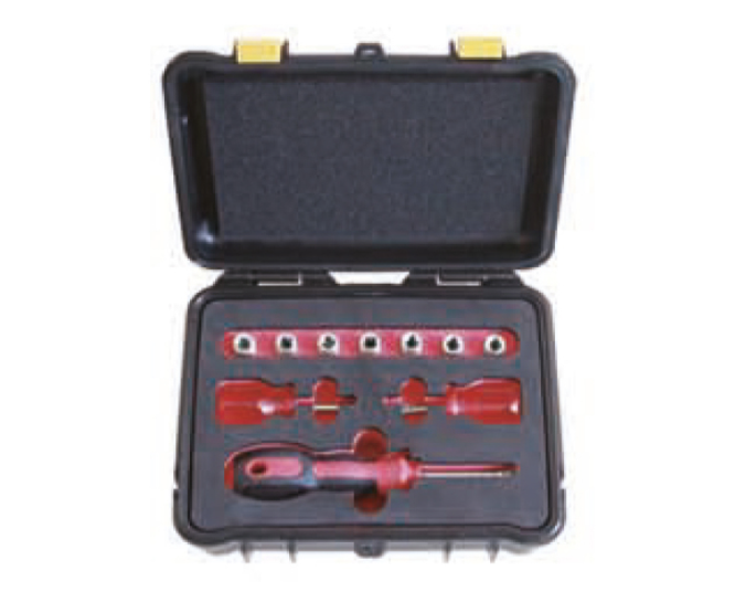 [101A AC] Set di bussole, 8+2 pezzi 1/4" (Aluminium Kupfer)