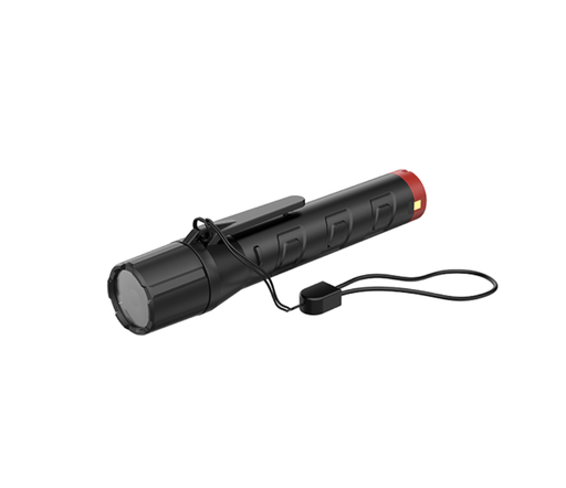[ExMP21R+A21] ExMP21R Torcia LED antideflagrante con stazione di ricarica
